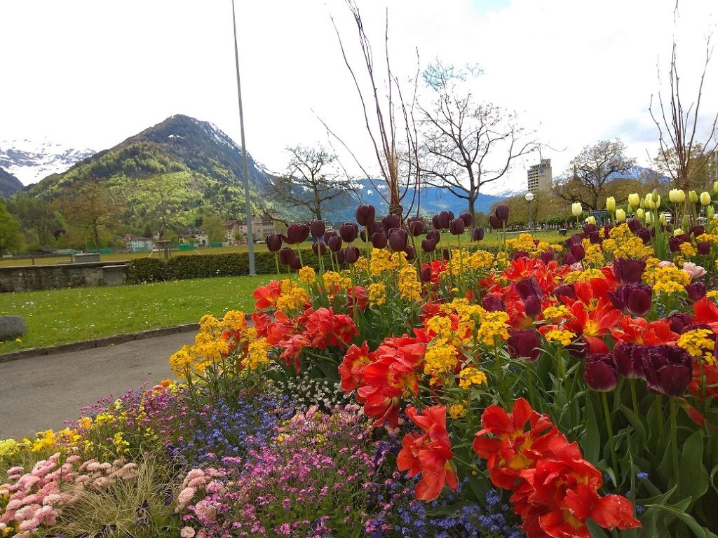 7 Tempat di Interlaken switzerland