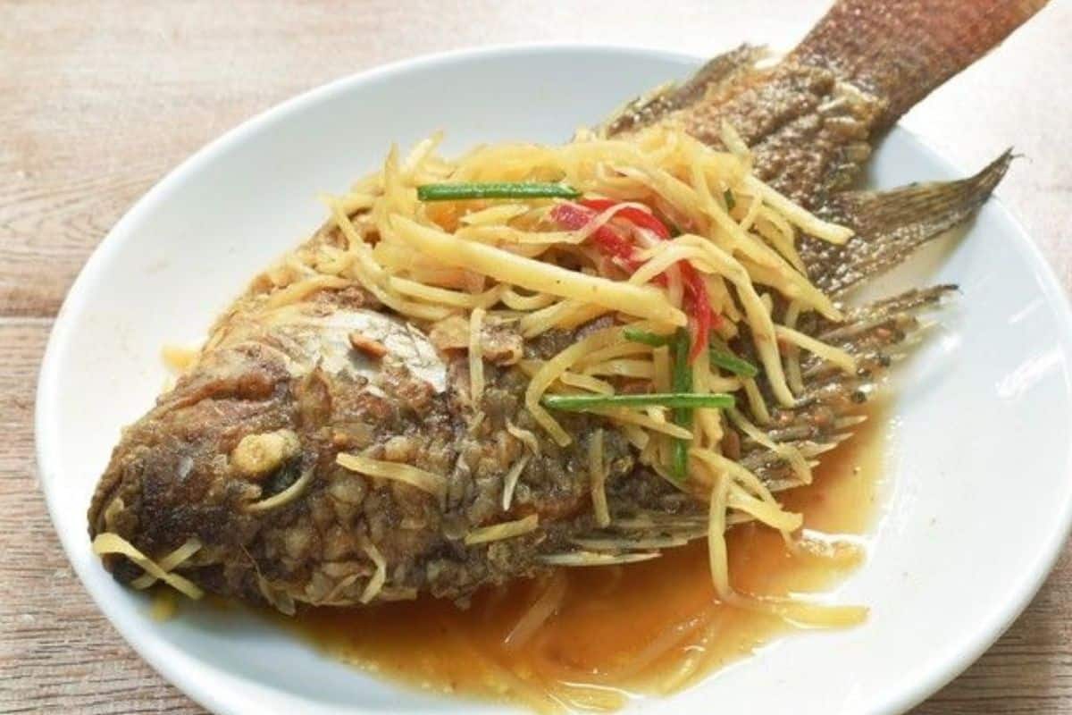 Pla Wan Fish Menjelajahi Macam Makanan Unik di Thailand - Pangpontar