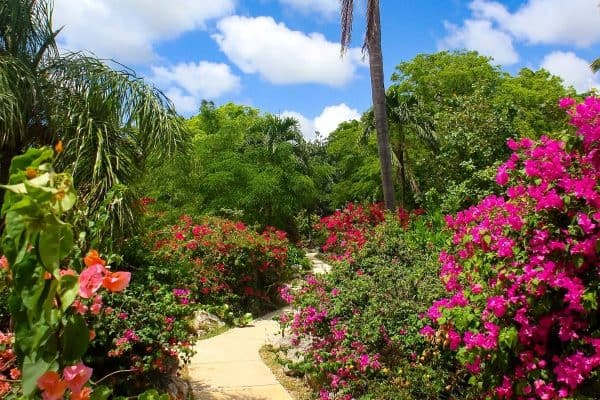 Garden Rhapsody light show di Supertree Grove Singapore