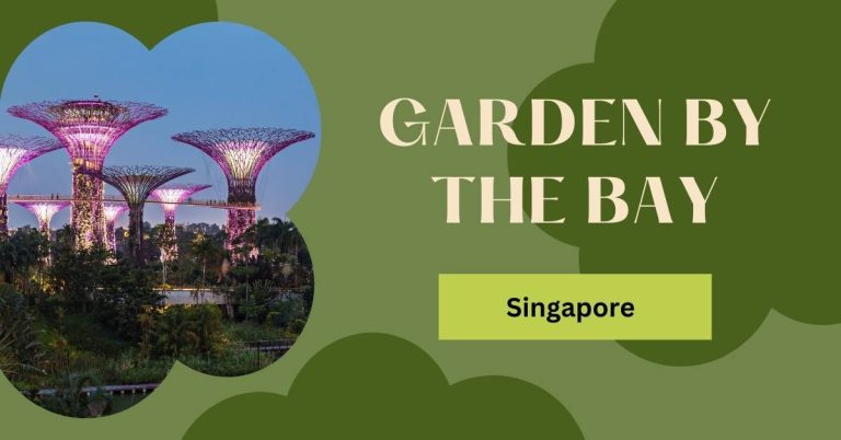 Menikmati Pemandangan yang Memukau di Garden by the Bay